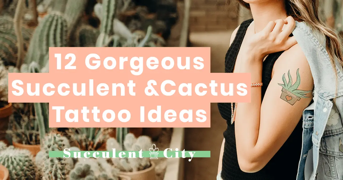 12 emocionantes ideas de tatuajes de cactus 12 emocionantes ideas de tatuajes de cactus