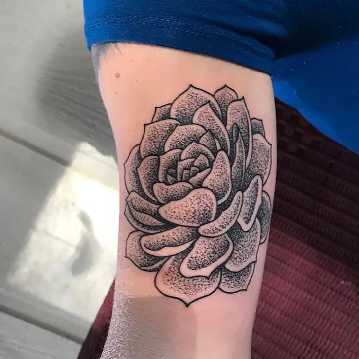 12 emocionantes ideas de tatuajes de cactus 12 emocionantes ideas de tatuajes de cactus