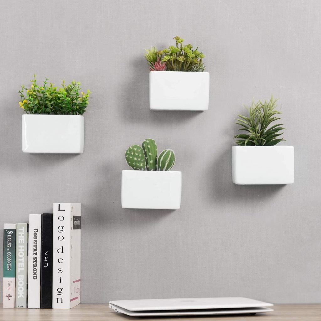 Mis 4 sugerencias para maceteros de pared con suculentas (el resto depende de tu creatividad) Mis 4 sugerencias para maceteros de pared con suculentas (el resto depende de tu creatividad)