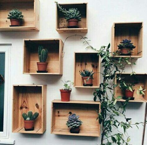 Mis 4 sugerencias para maceteros de pared con suculentas (el resto depende de tu creatividad) Mis 4 sugerencias para maceteros de pared con suculentas (el resto depende de tu creatividad)