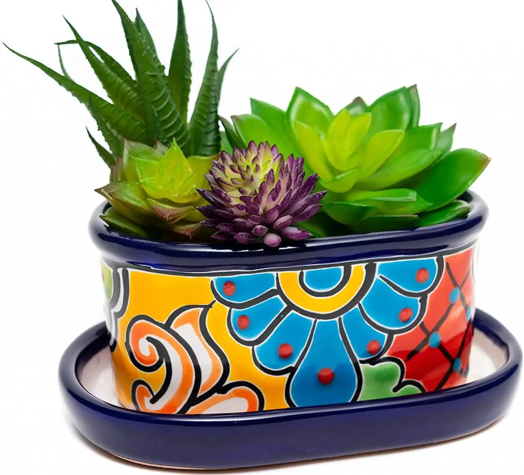Ideas de jardines suculentos que son simples y prácticas Ideas de jardines suculentos que son simples y prácticas