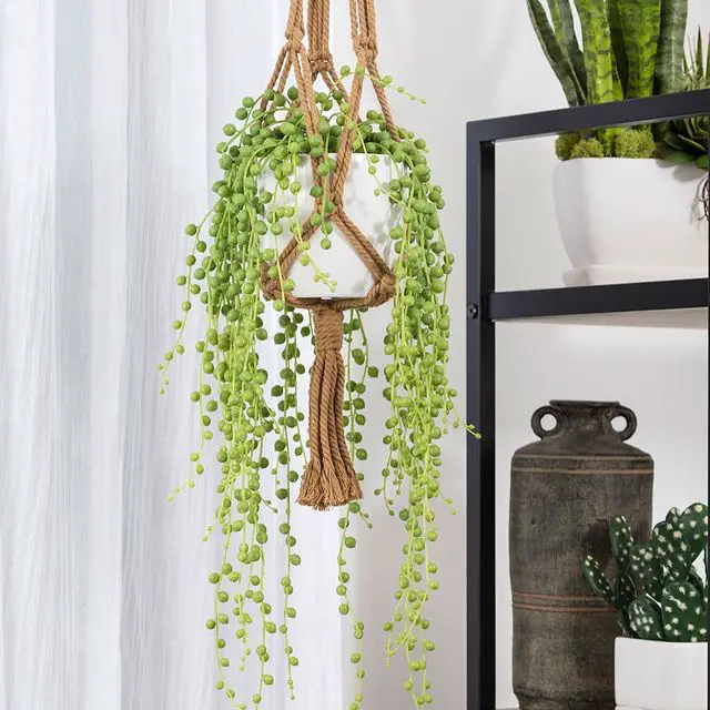 Ideas de suculentas cestas de regalo para eventos importantes Ideas de suculentas cestas de regalo para eventos importantes