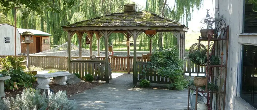 Proponer matrimonio en un jardín exuberante: 7 pasos bien pensados para una propuesta de matrimonio inolvidable Proponer matrimonio en un jardín exuberante: 7 pasos bien pensados para una propuesta de matrimonio inolvidable