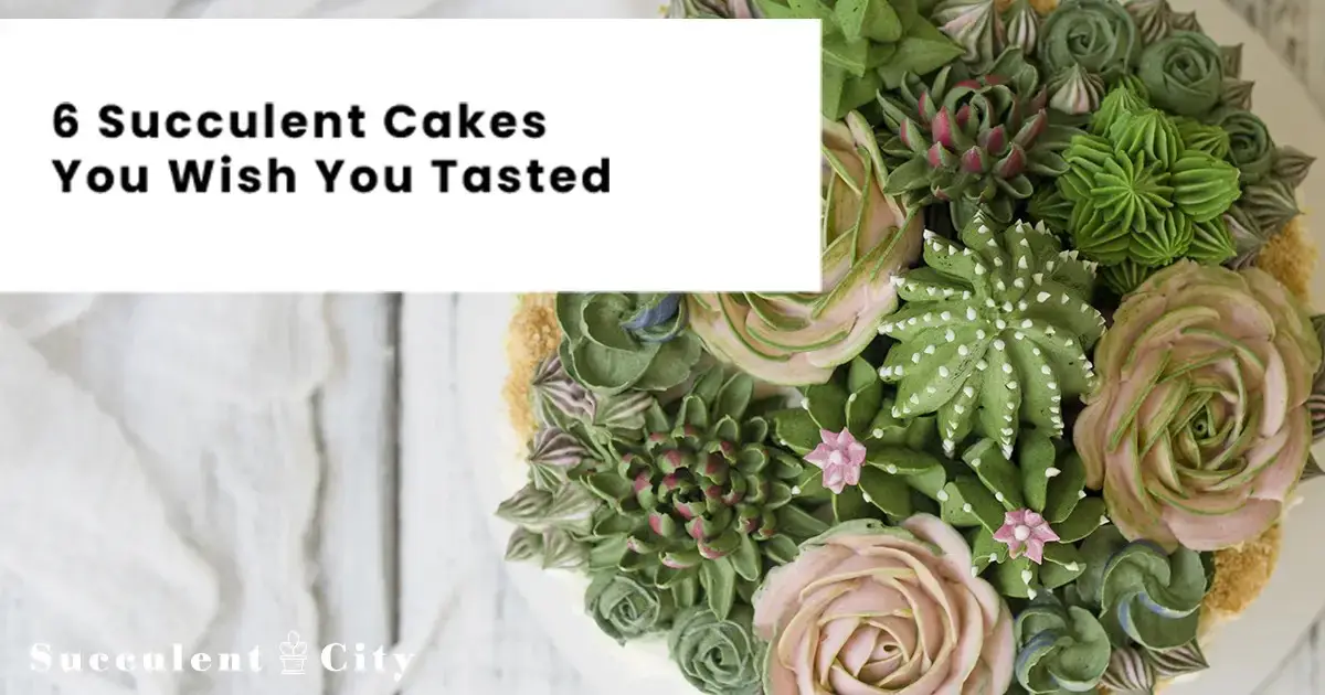 6 ideas de pasteles jugosos para diferentes ocasiones