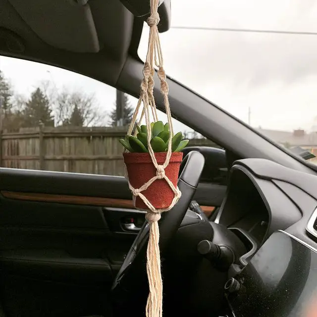 Algunas sugerencias para colgar suculentas en el coche Algunas sugerencias para colgar suculentas en el coche