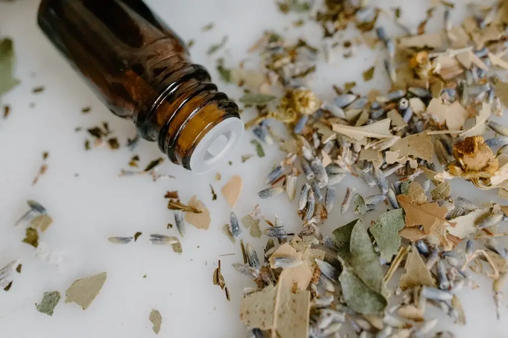 Cómo utilizar aceite de neem para suculentas Cómo utilizar aceite de neem para suculentas