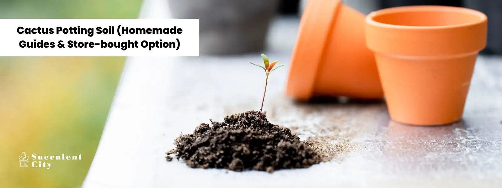 Tierra para macetas de cactus (instrucciones caseras y opción comprada en la tienda) Tierra para macetas de cactus (instrucciones caseras y opción comprada en la tienda)