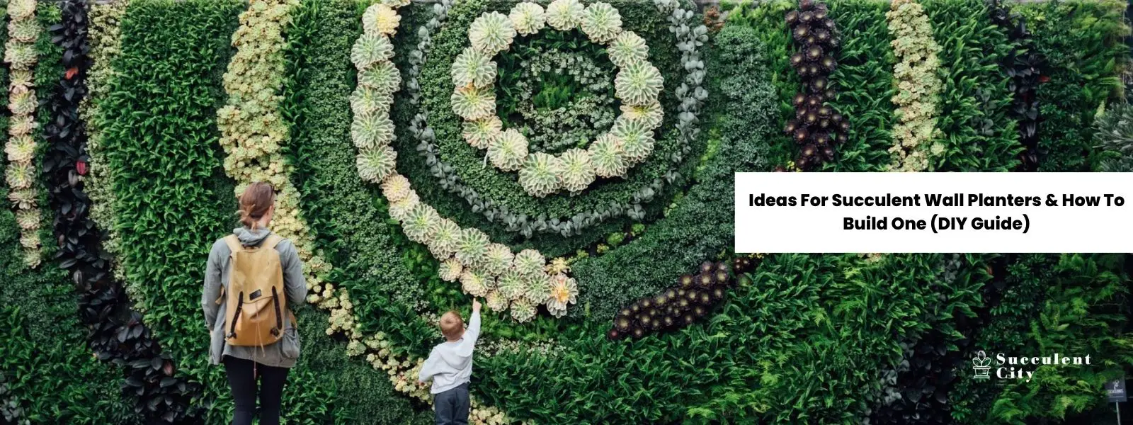 Mis 4 sugerencias para maceteros de pared con suculentas (el resto depende de tu creatividad) Mis 4 sugerencias para maceteros de pared con suculentas (el resto depende de tu creatividad)