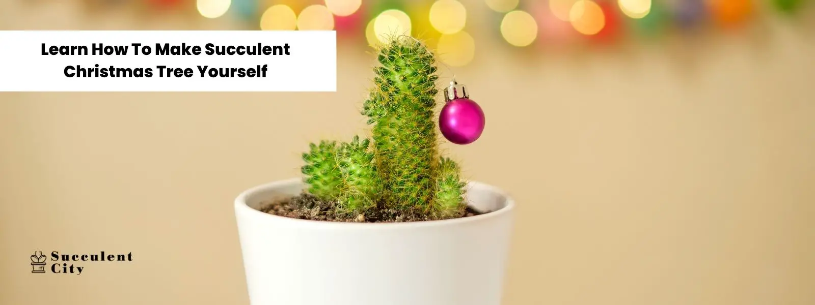 Aprende a hacer tú mismo un suculento árbol de Navidad