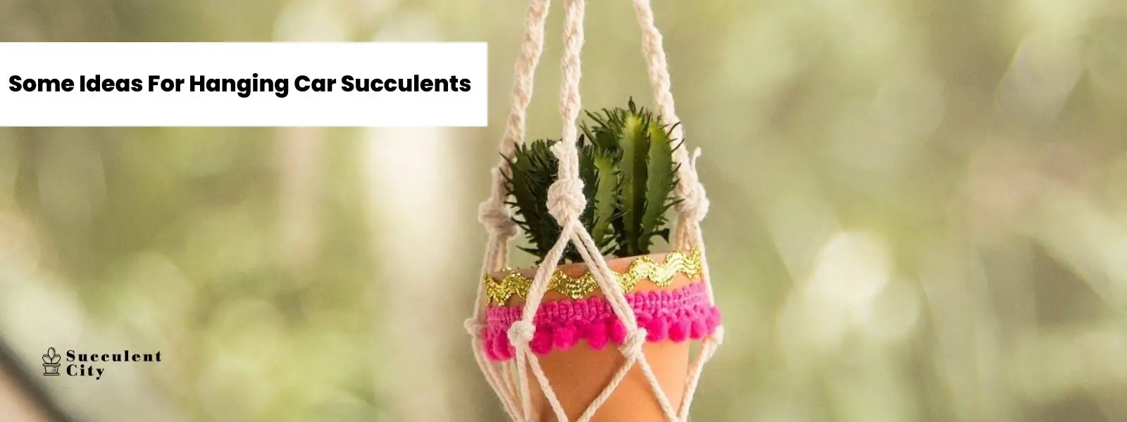 Algunas sugerencias para colgar suculentas en el coche Algunas sugerencias para colgar suculentas en el coche