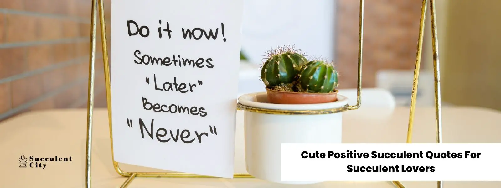 Más de 199 citas positivas sobre suculentas para amantes de las suculentas (una colección)