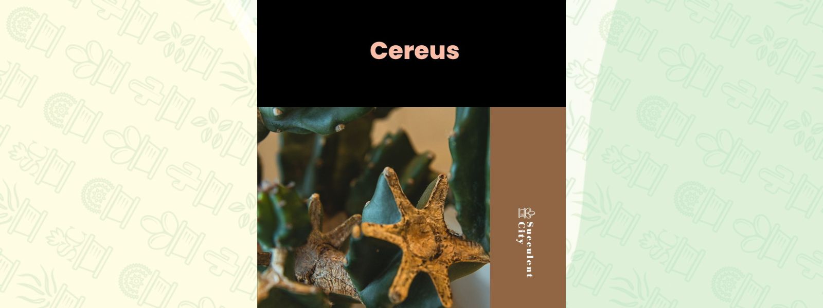 El género “Cereus”.