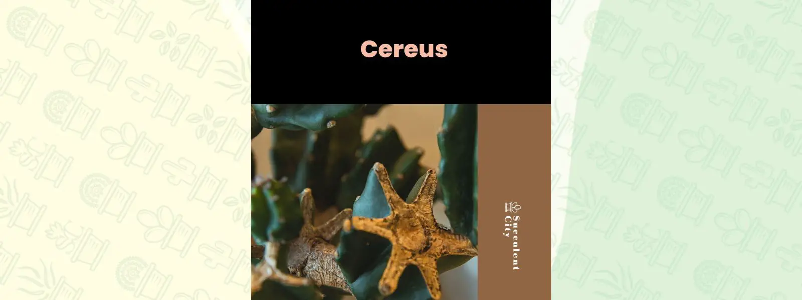 El género “Cereus”. El género “Cereus”.