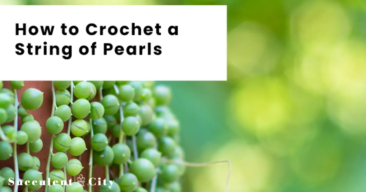 Cómo tejer un suculento “collar de cuentas” a crochet. Cómo tejer un suculento “collar de cuentas” a crochet.