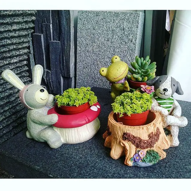 Ideas de suculentas cestas de regalo para eventos importantes Ideas de suculentas cestas de regalo para eventos importantes