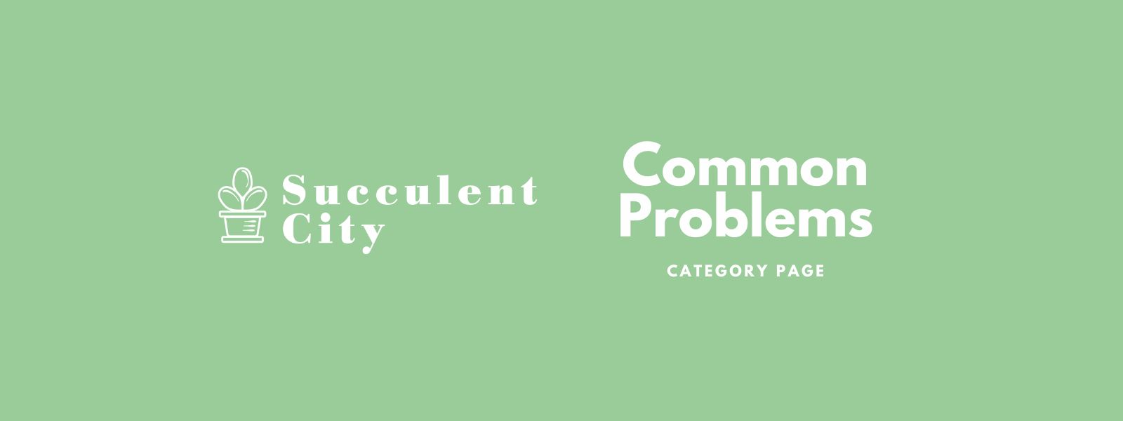 https://succulentcity.com/category/guides-care-tips/common-problems/