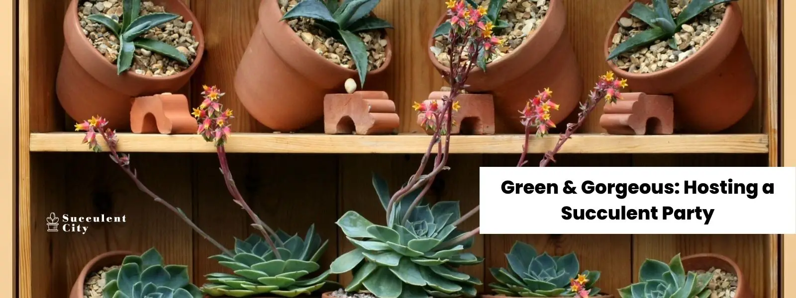 Verde y bonito: organiza una fiesta jugosa Verde y bonito: organiza una fiesta jugosa