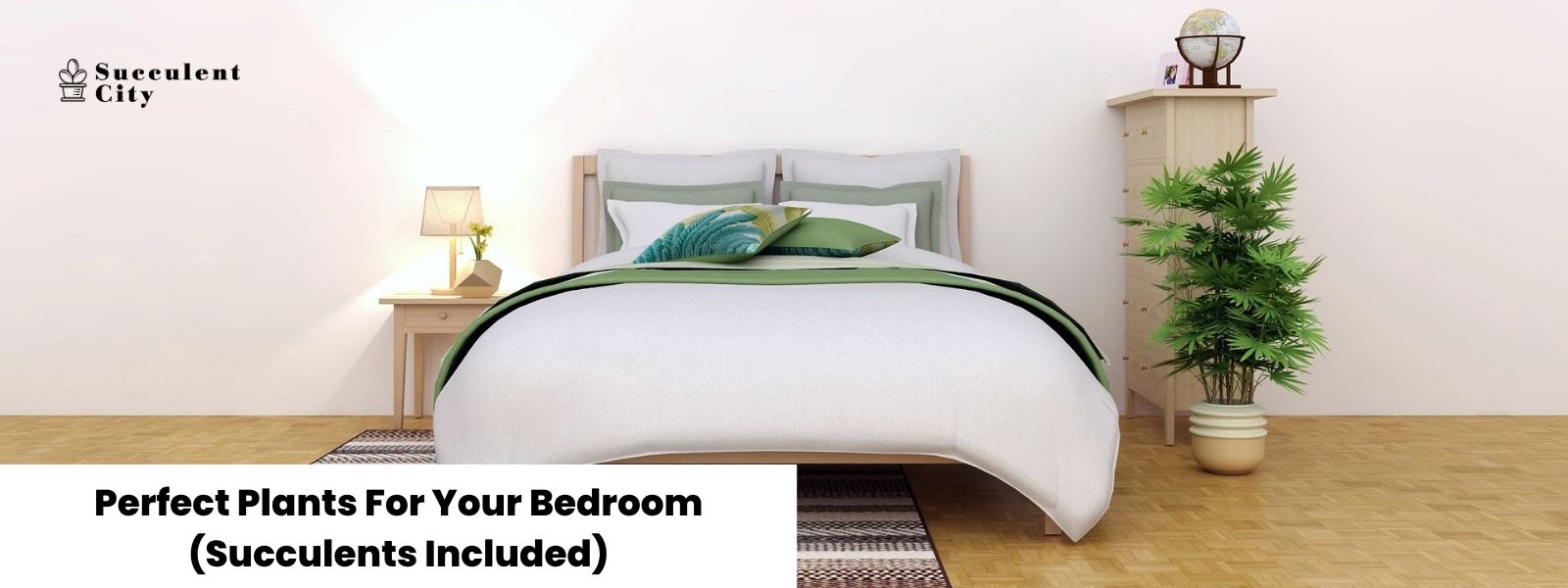 5 suculentas perfectas para el dormitorio (y algunas sugerencias no suculentas incluidas)