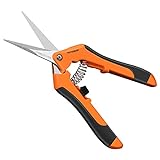 Una descripción general de la propagación de suculentas: introducción de varios métodos Una descripción general de la propagación de suculentas: introducción de varios métodos