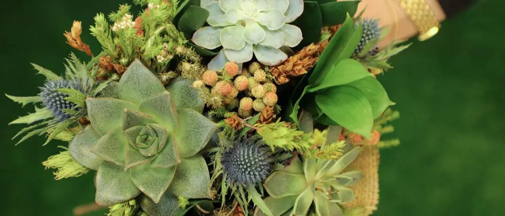 Verde y bonito: organiza una fiesta jugosa Verde y bonito: organiza una fiesta jugosa