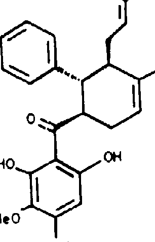 Euforbia granii