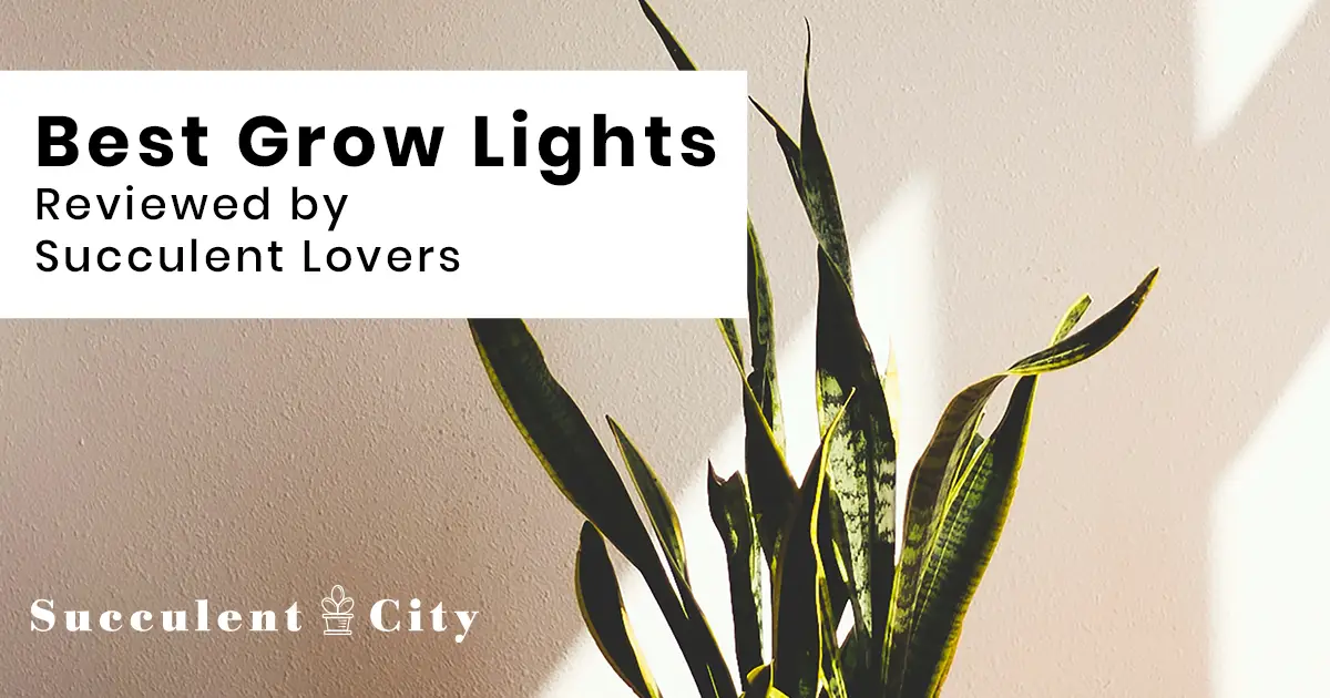 Mis elecciones para las mejores luces de cultivo para suculentas