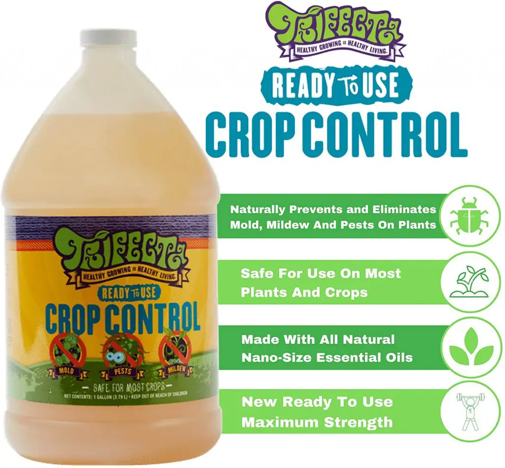 ¿Será seguro el insecticida (sistémico) para las suculentas? – Si es así, ¿qué insecticida y dónde se puede comprar? ¿Será seguro el insecticida (sistémico) para las suculentas? – Si es así, ¿qué insecticida y dónde se puede comprar?