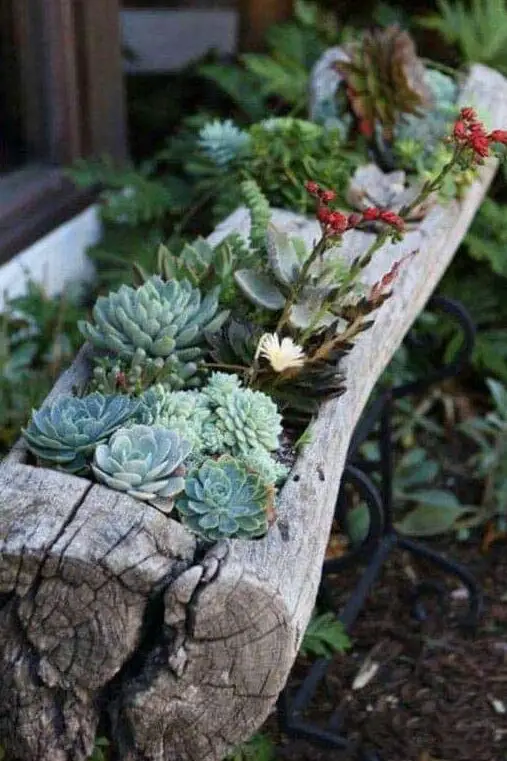 Echa un vistazo a estas ideas para suculentas sobre madera flotante 20 ideas de maceteros suculentos de madera flotante para su hogar |